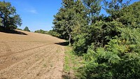 Sentier à travers champs
