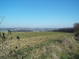 Point de vue