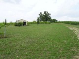 Cabane de vigne
