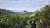 Paysage typique de Mont-Roc, entre roches et forêt