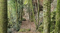 Le sentier sillonne entre les rochers