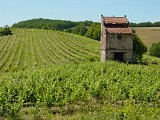 Paysage Gaillacois