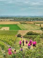 Vue sur la vallée du Tarn - Rando Octobre rose