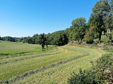 Le long du chemin