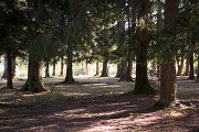 Sentier de découverte de la forêt de Sérénac