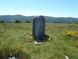 Statue menhir