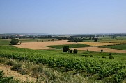 Rabastens - Sentier de la Plaine