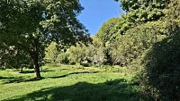 Le sentier emprunte des clairières cachées et bucoliques