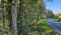 Balisage jaune du sentier