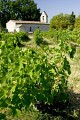 Chapelle dans les vignes