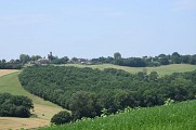 Rabastens - Vallons &amp; Forêts