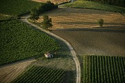 Vue aérienne vignoble