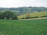 Paysage