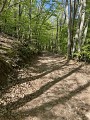 sentier