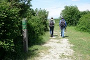 GRP® Tour de Brière - Secteur Ile Jacquet_8
