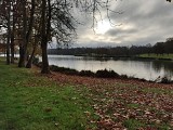 Etang de Buhel-Plessé_6