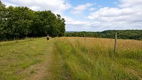 Sentier champêtre