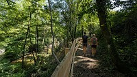 Sentier boisé sur le parcours du Layuzou