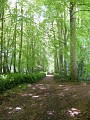 chemin rando vallée du Dun