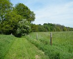 Circuit N°26 - La Durdent
