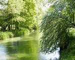 La Durdent