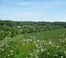 Vallée de la Durdent