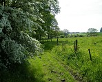 Circuit N°26 - La Durdent