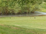 2016-cadarsac-016