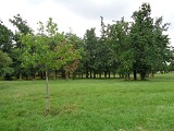 parc-favols-carbon-blanc--3-