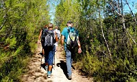 Dans la garrigue_CDRP34