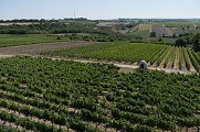 De CHALONNES-SUR-LOIRE à GENNES en 3 jours
