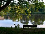 Lac de Creutzwald
