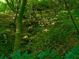 Huchsprung, sud de Manderen
avec sa source