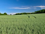 Paysage agricole aux alentours de Überherrn