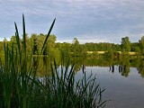 Étang de Escherbruch, Ham-sous-Varsberg