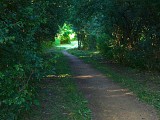 Sentier autour des étangs, Ham-sous-Varsberg