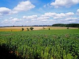 Paysage de plateau