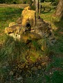 L'eau pétrifiante