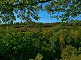 Balade sur le Sentier de la réserve naturelle de Montenach