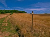 Le chemin au nord-ouest de Burtoncourt