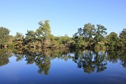 Etang