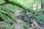 Le sentier de l'Association Pour l'Aménagement des Gorges d'Enval_Enval