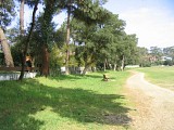 Lac