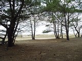Etang de Biscarrosse