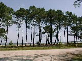 Vue depuis la piste cyclable
