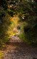 Sentier