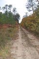 Chemin