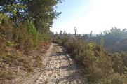 Chemin surplombant la forêt