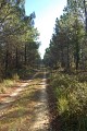 Chemin