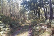 Chemin